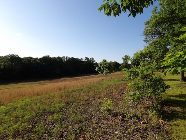 000 W Ivy Rd, Oronogo MO, 64855 land for sale