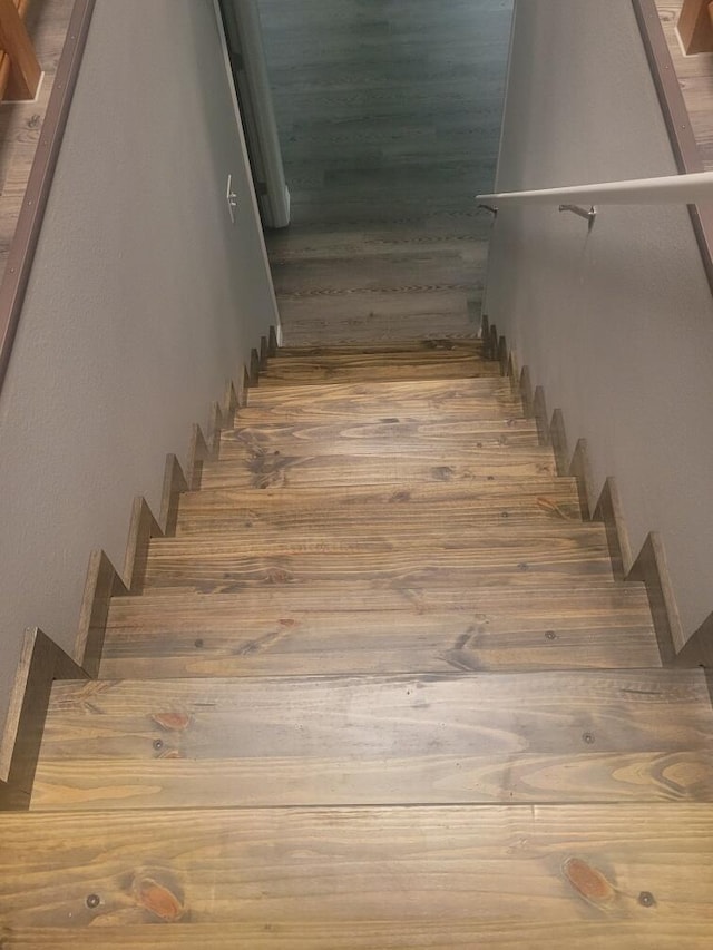 stairs with hardwood / wood-style flooring