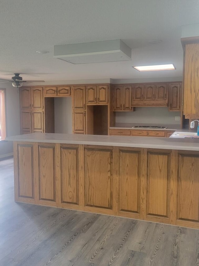 kitchen featuring white gas cooktop, light wood-type flooring, and sink