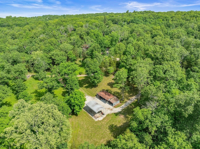 228 Cabin Ln, Kissee Mills, MO 65680 - drone / aerial view featuring a view of trees