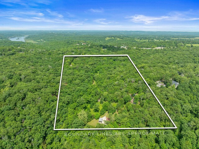228 Cabin Ln, Kissee Mills, MO 65680 - bird's eye view featuring a view of trees