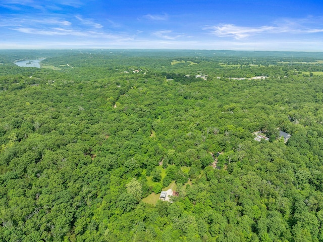 228 Cabin Ln, Kissee Mills, MO 65680 - drone / aerial view featuring a forest view