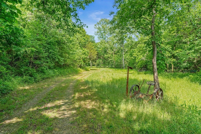 228 Cabin Ln, Kissee Mills, MO 65680 - view of road featuring a forest view