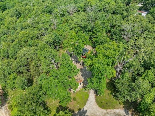 228 Cabin Ln, Kissee Mills, MO 65680 - aerial view with a view of trees