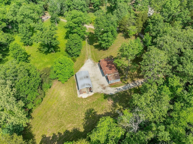 228 Cabin Ln, Kissee Mills, MO 65680 - aerial view