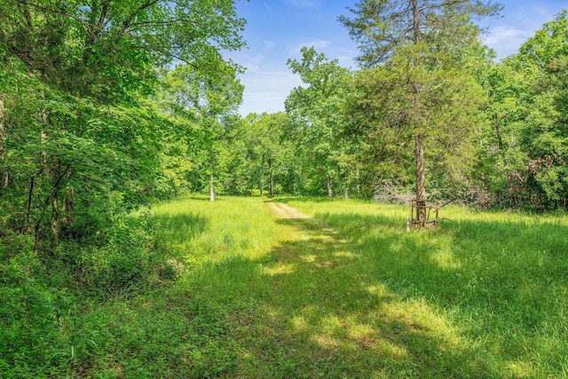 228 Cabin Ln, Kissee Mills, MO 65680 - view of yard featuring a forest view