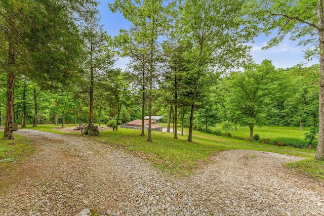 228 Cabin Ln, Kissee Mills, MO 65680 - view of road featuring a view of trees