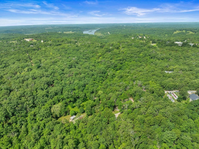 228 Cabin Ln, Kissee Mills, MO 65680 - birds eye view of property featuring a forest view