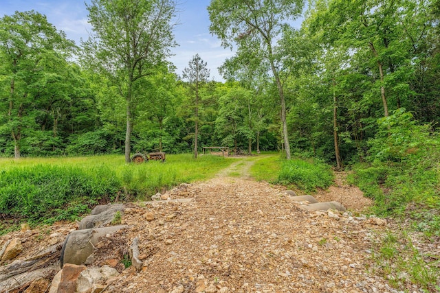 228 Cabin Ln, Kissee Mills, MO 65680 - view of nature featuring a view of trees