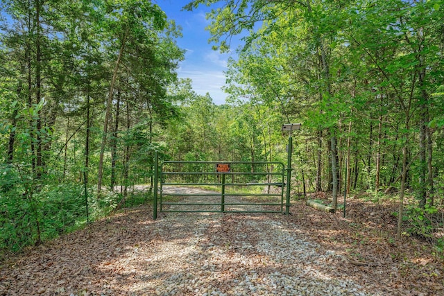 228 Cabin Ln, Kissee Mills, MO 65680 - view of gate with a wooded view