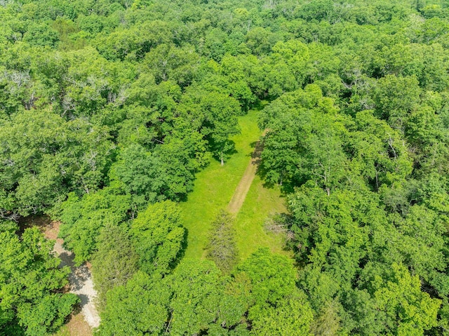 228 Cabin Ln, Kissee Mills, MO 65680 - bird's eye view featuring a wooded view