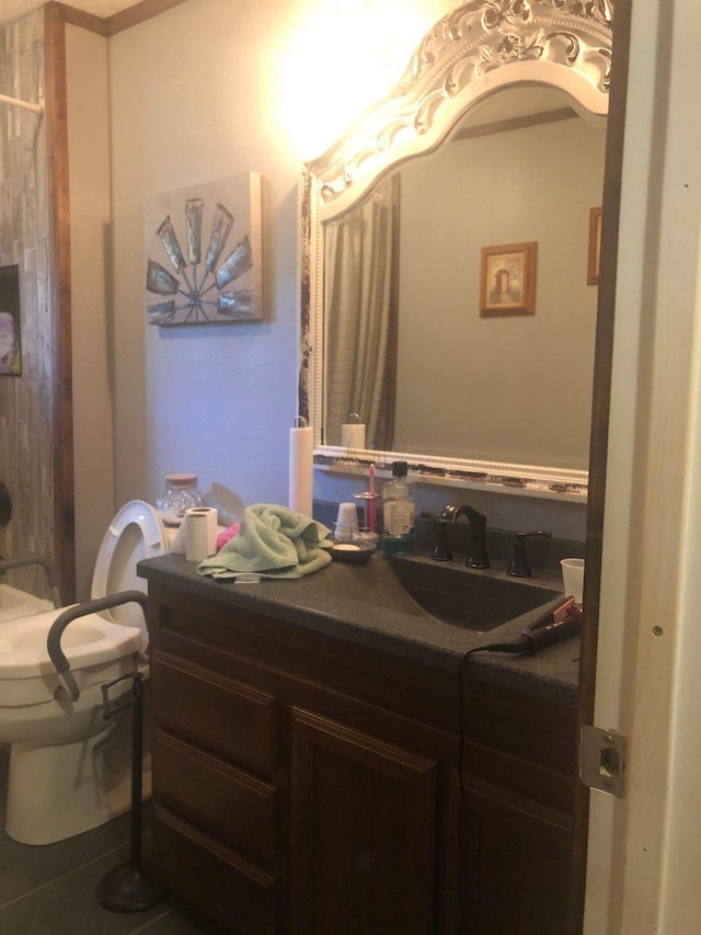 bathroom with toilet and vanity