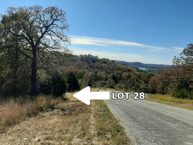 LOT28 Hanging Branch Rdg, Cape Fair, MO 65624 - photo 5