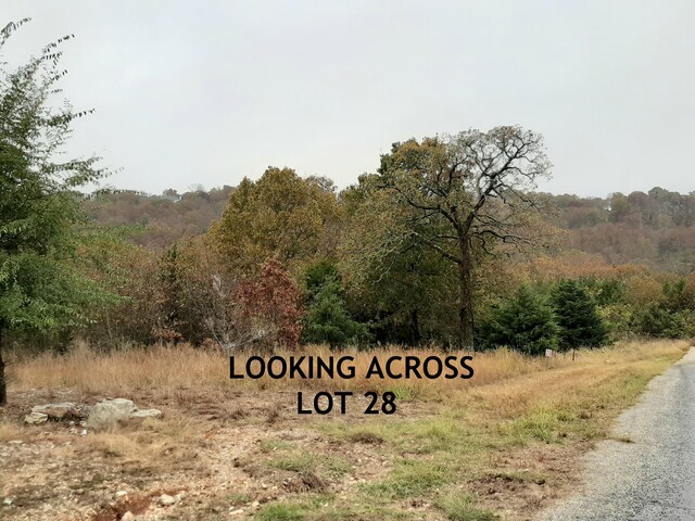 LOT28 Hanging Branch Rdg, Cape Fair, MO 65624 - photo 7