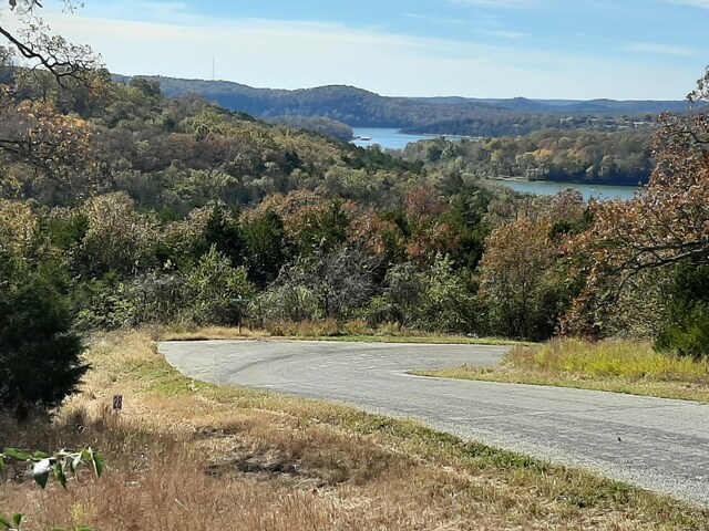 LOT28 Hanging Branch Rdg, Cape Fair, MO 65624 - photo 2