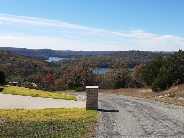 LOT28 Hanging Branch Rdg, Cape Fair, MO 65624 - photo 9