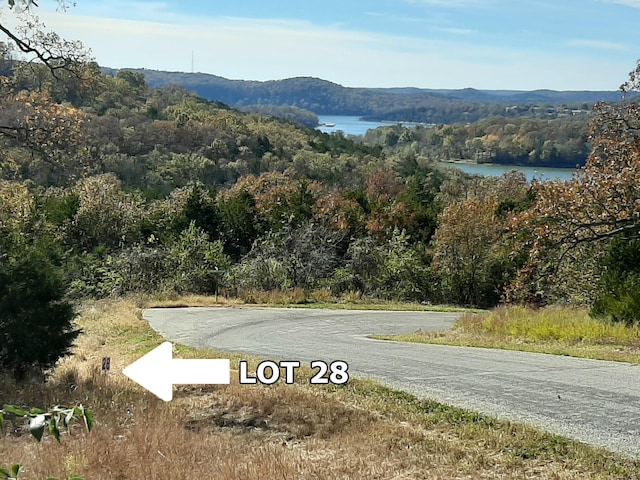 LOT28 Hanging Branch Rdg, Cape Fair MO, 65624 land for sale