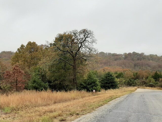 LOT28 Hanging Branch Rdg, Cape Fair, MO 65624 - photo 8