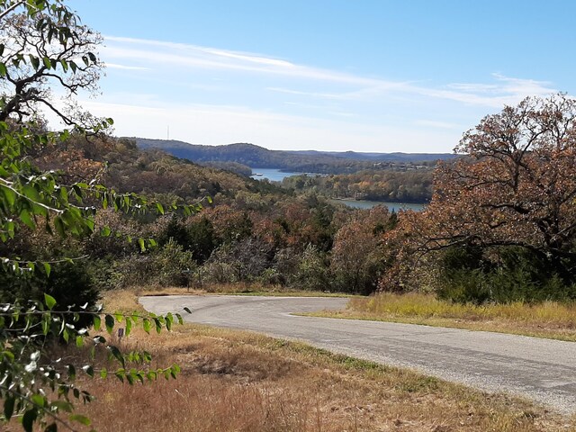 LOT28 Hanging Branch Rdg, Cape Fair, MO 65624 - photo 10