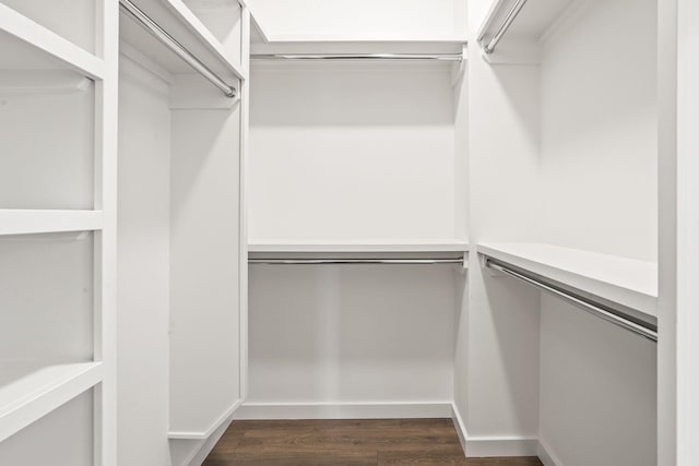 walk in closet with dark hardwood / wood-style flooring