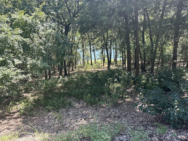 view of nature