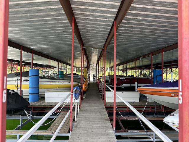 view of dock with boat lift