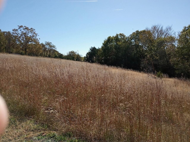 view of local wilderness