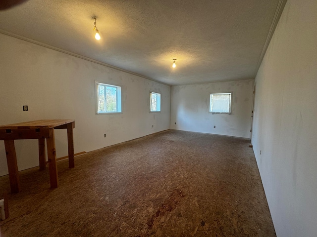 carpeted spare room with a textured ceiling and ornamental molding