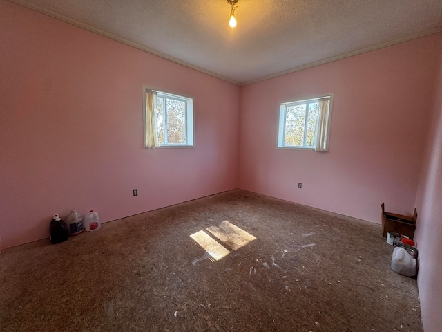 spare room with plenty of natural light and a textured ceiling