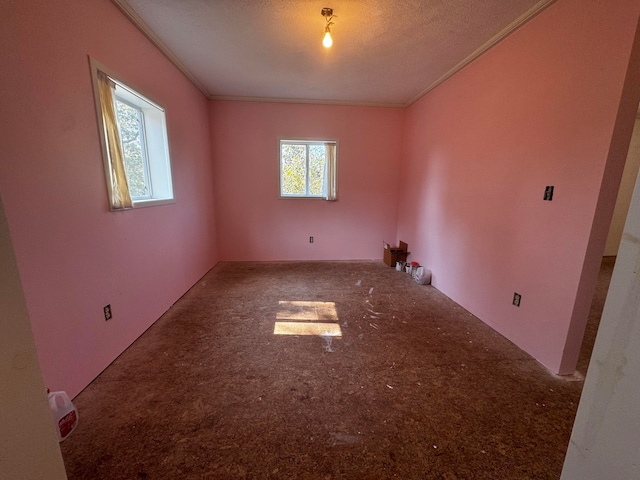 spare room with ornamental molding, carpet flooring, and a textured ceiling