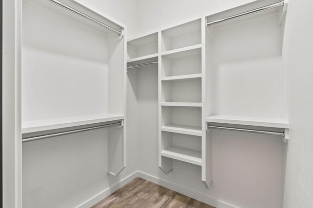 spacious closet featuring wood-type flooring