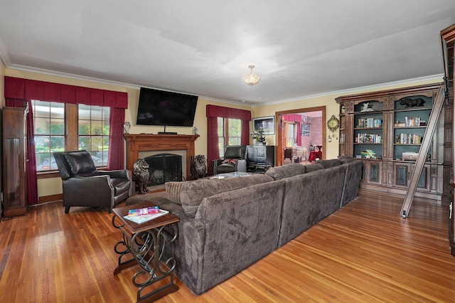 living room with wood-type flooring and crown molding