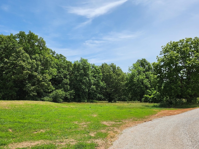 LOT8 N Farm Road 61, Walnut Grove MO, 65770 land for sale