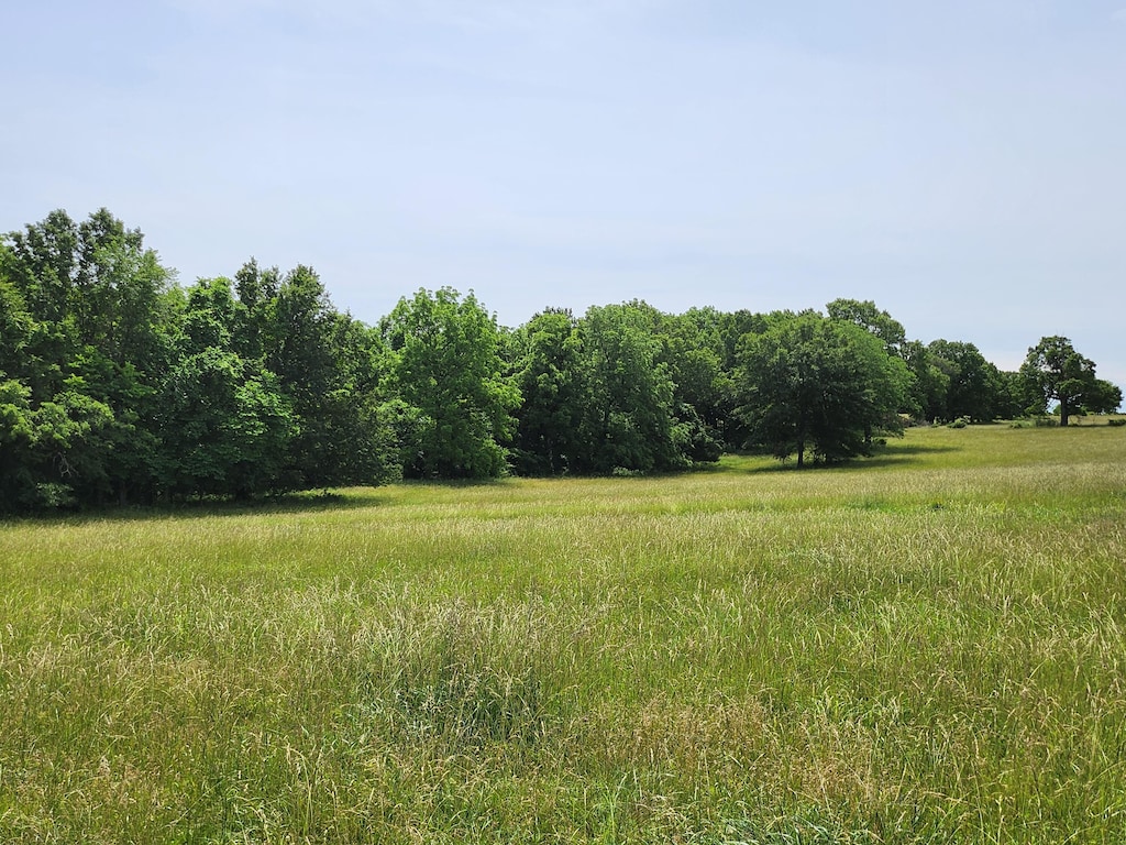 LOT12 N Farm Road 61, Walnut Grove, MO 65770