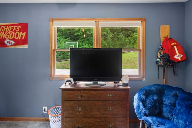 interior space with baseboards, multiple windows, and carpet