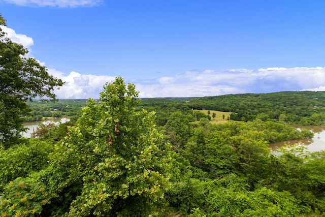 view of local wilderness with a water view and a wooded view