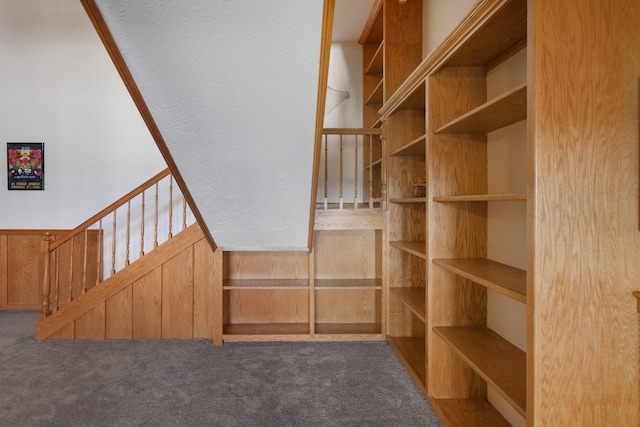 stairs featuring carpet flooring