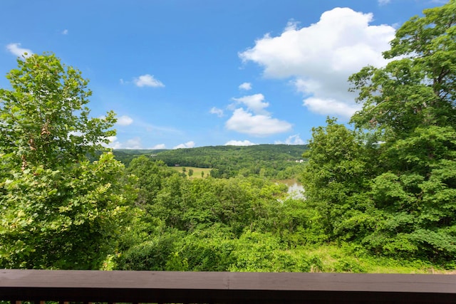 view of mountain feature with a view of trees