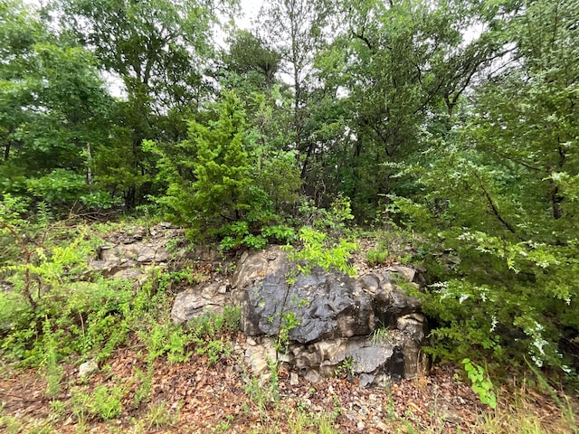 LOT104 Crescent Dr, Hollister, MO 65672
