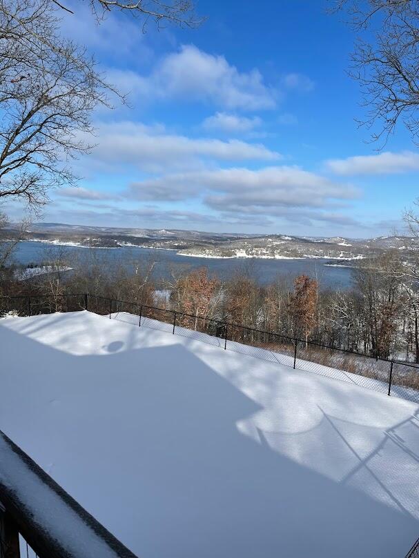 view of yard covered in snow