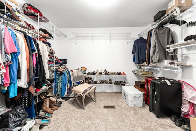 spacious closet with carpet