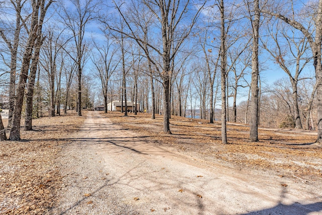 view of street with dirt driveway