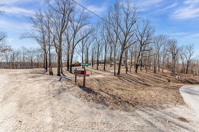 view of yard featuring dirt driveway