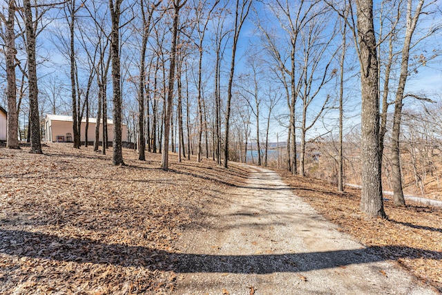 view of street featuring gravel driveway