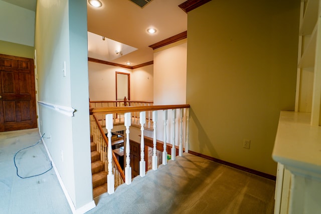 stairway with crown molding and carpet floors