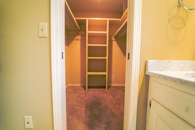 walk in closet featuring dark colored carpet