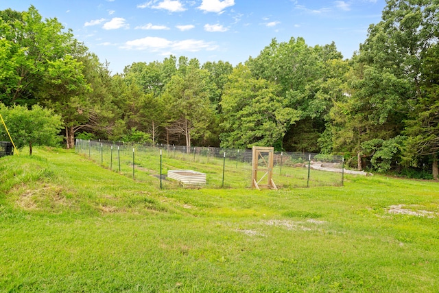 view of yard with a rural view