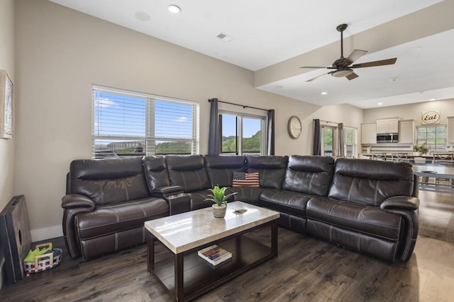270 Chateau Cove Dr, Branson, MO 65616 - living area with plenty of natural light, a ceiling fan, visible vents, and dark wood finished floors