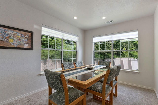 dining space with a healthy amount of sunlight, carpet, and a textured ceiling