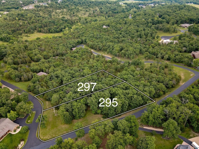 297 Kramer Ln, Saddlebrooke, MO 65630